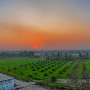 WhatsApp Image 2025-11-17 at 21.59.33